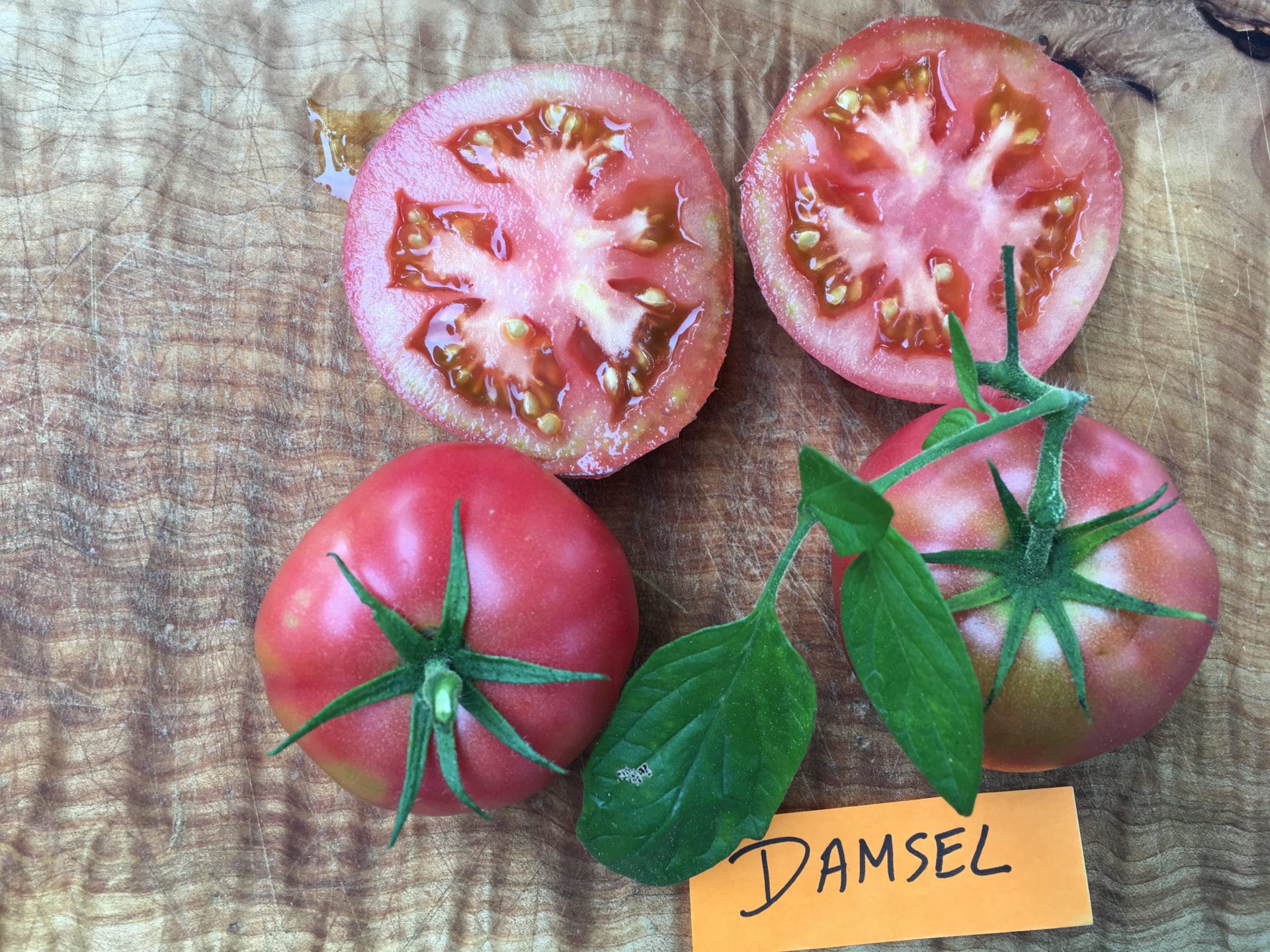 Tomatoes