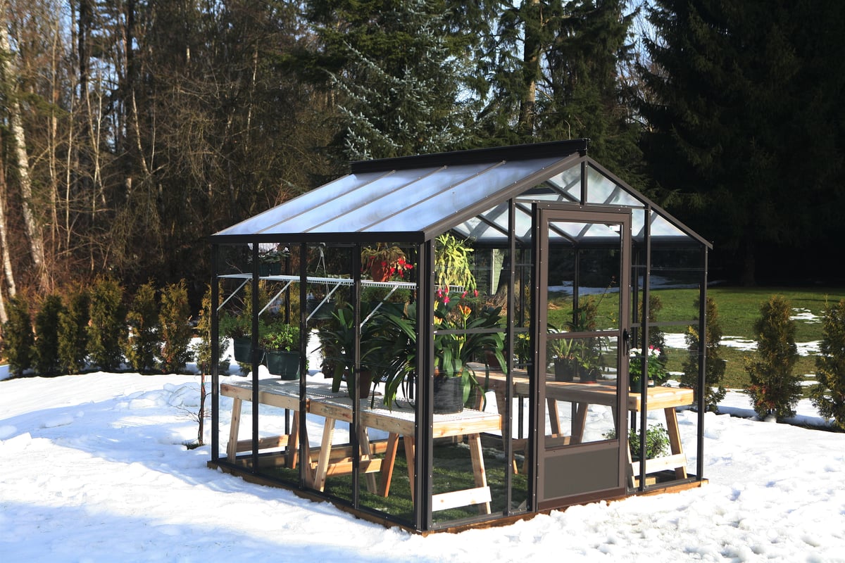 Greenhouse in the snow