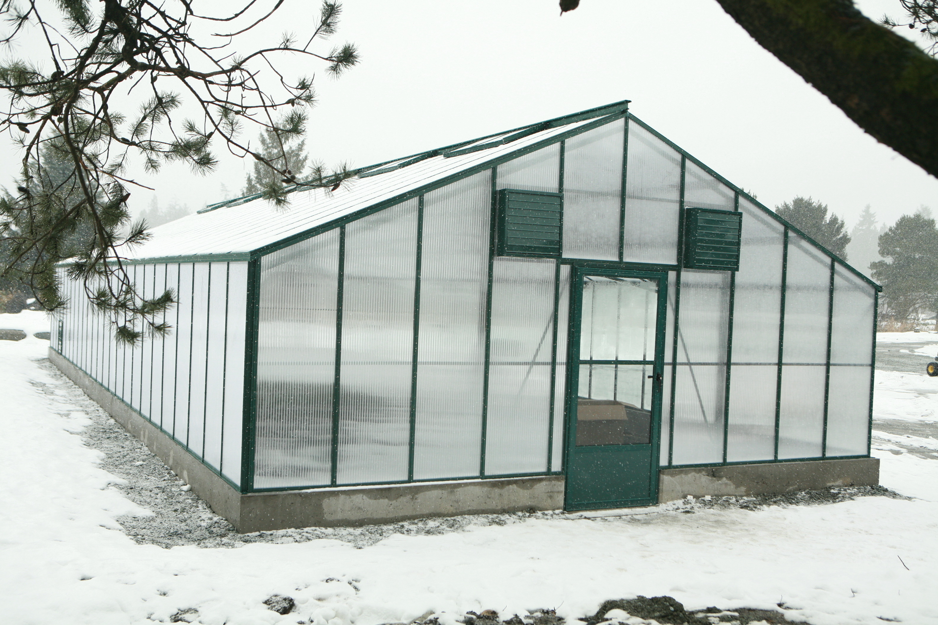 Greenhouse in the snow