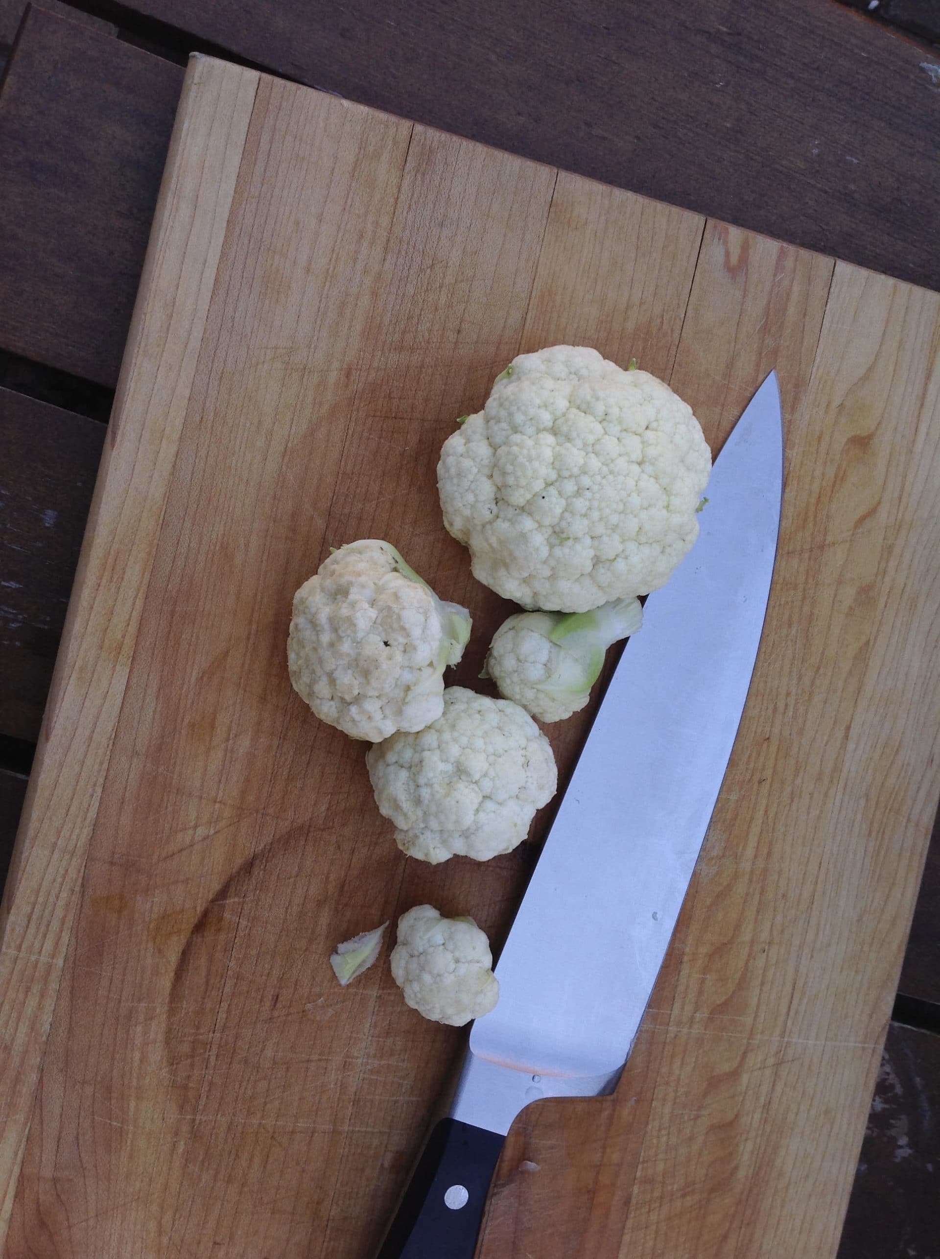 Cauliflowers just picked and ready for steaming