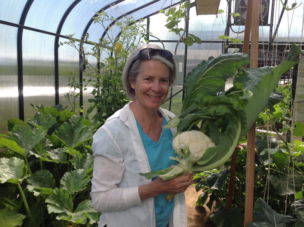 Donna Balzer in her greenhouse holding cauliflower