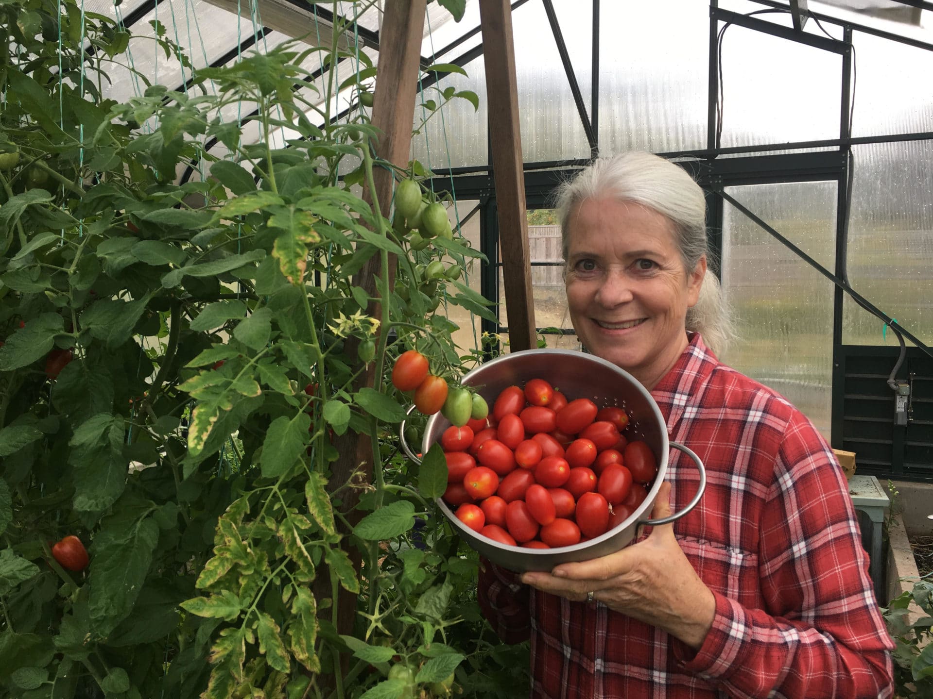 Donna in her greenhouse