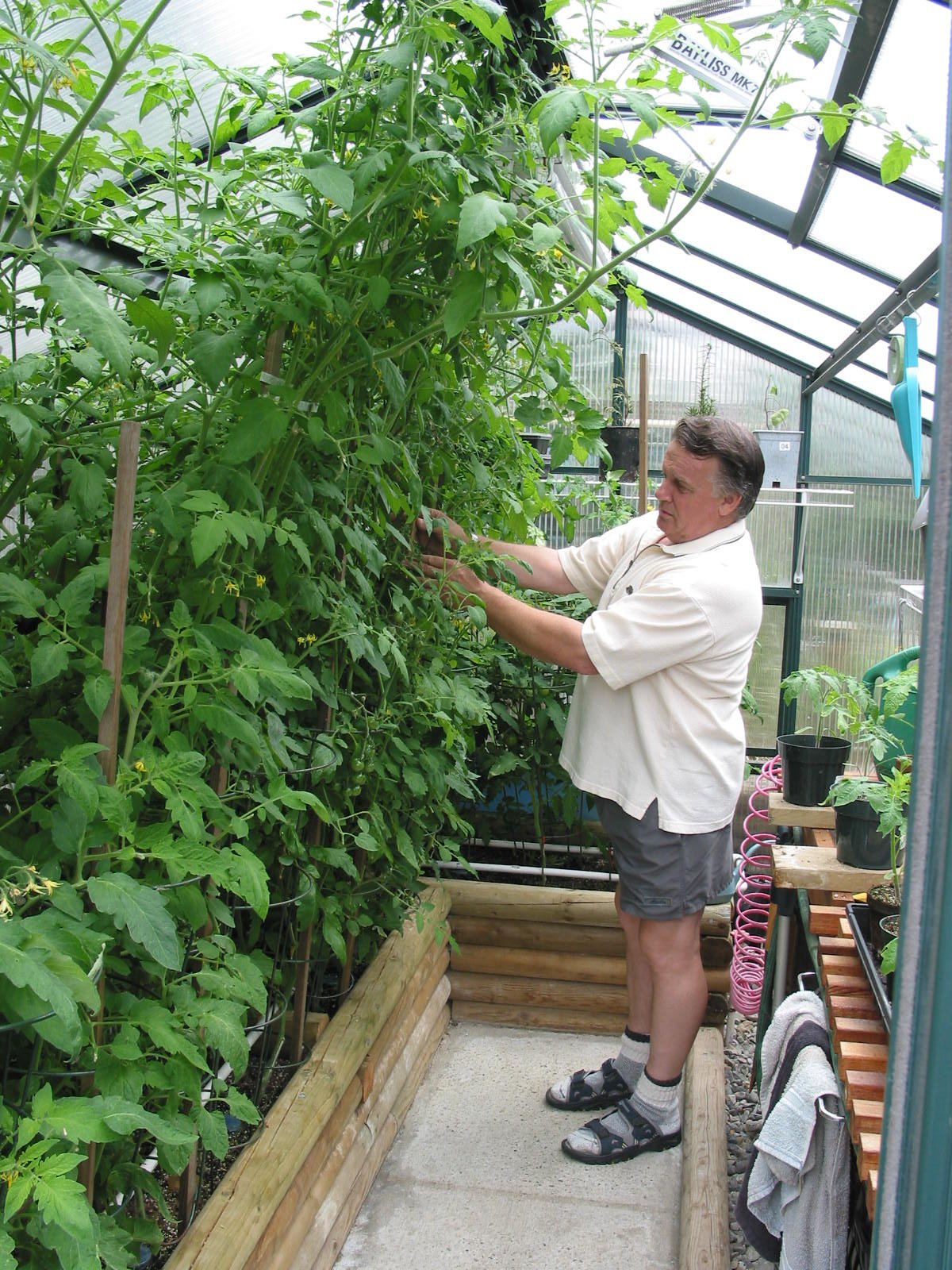 FTR812FW Green Inside
