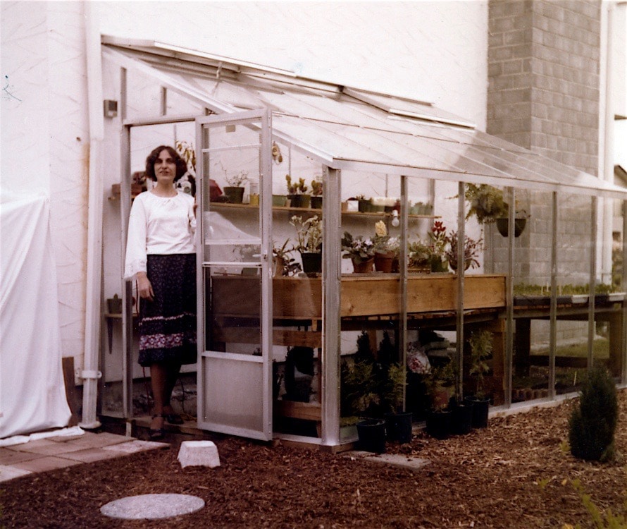 Greta in her lean to greenhouse