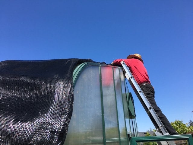 Someone attaching a shade cloth