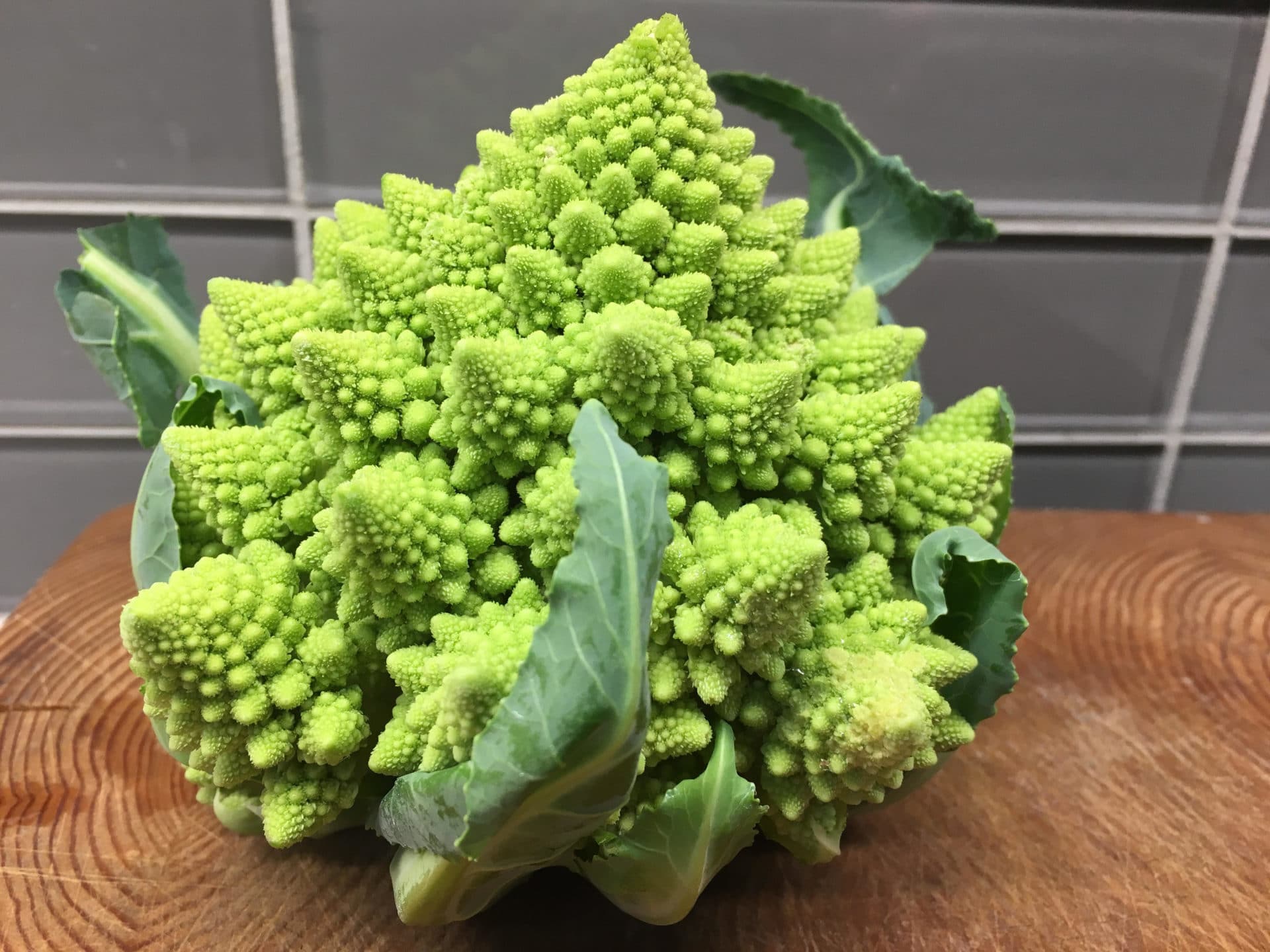 Veronica cauliflower grown in my greenhouse and harvested in June
