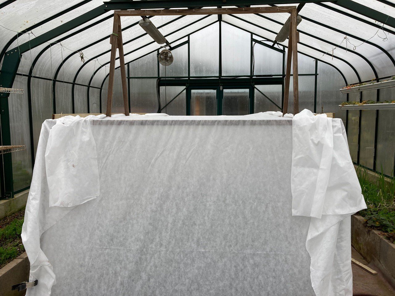 homemade nursery in pacfic greenhouse