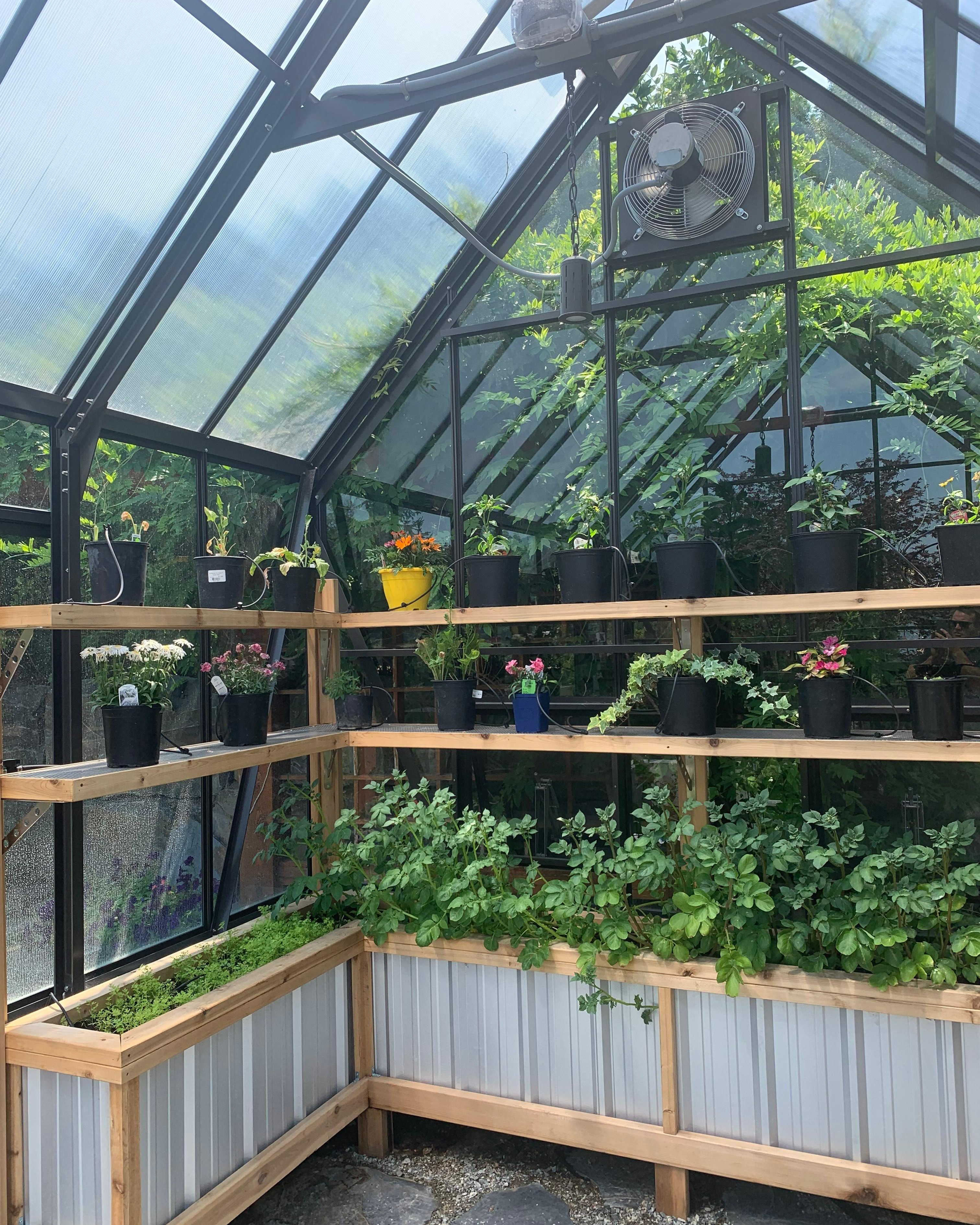 Kapiti Built - BCGreenhouses - 03-1