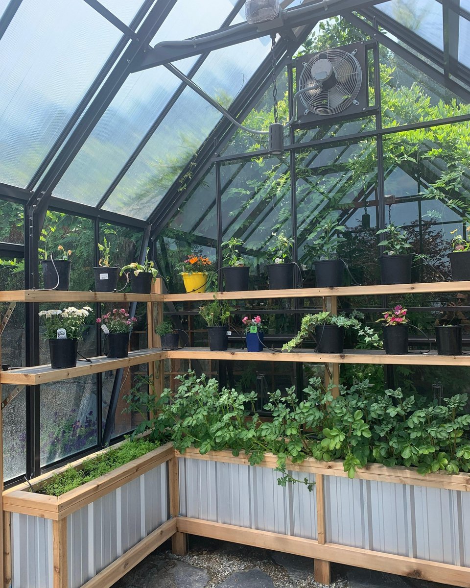 Kapiti Built - BCGreenhouses - 03-1