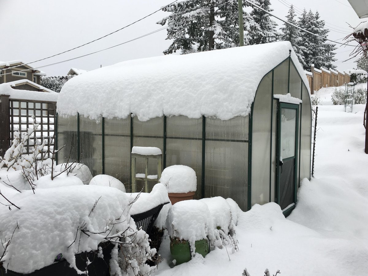  8 x 12 Pacific Greenhouse in Snow