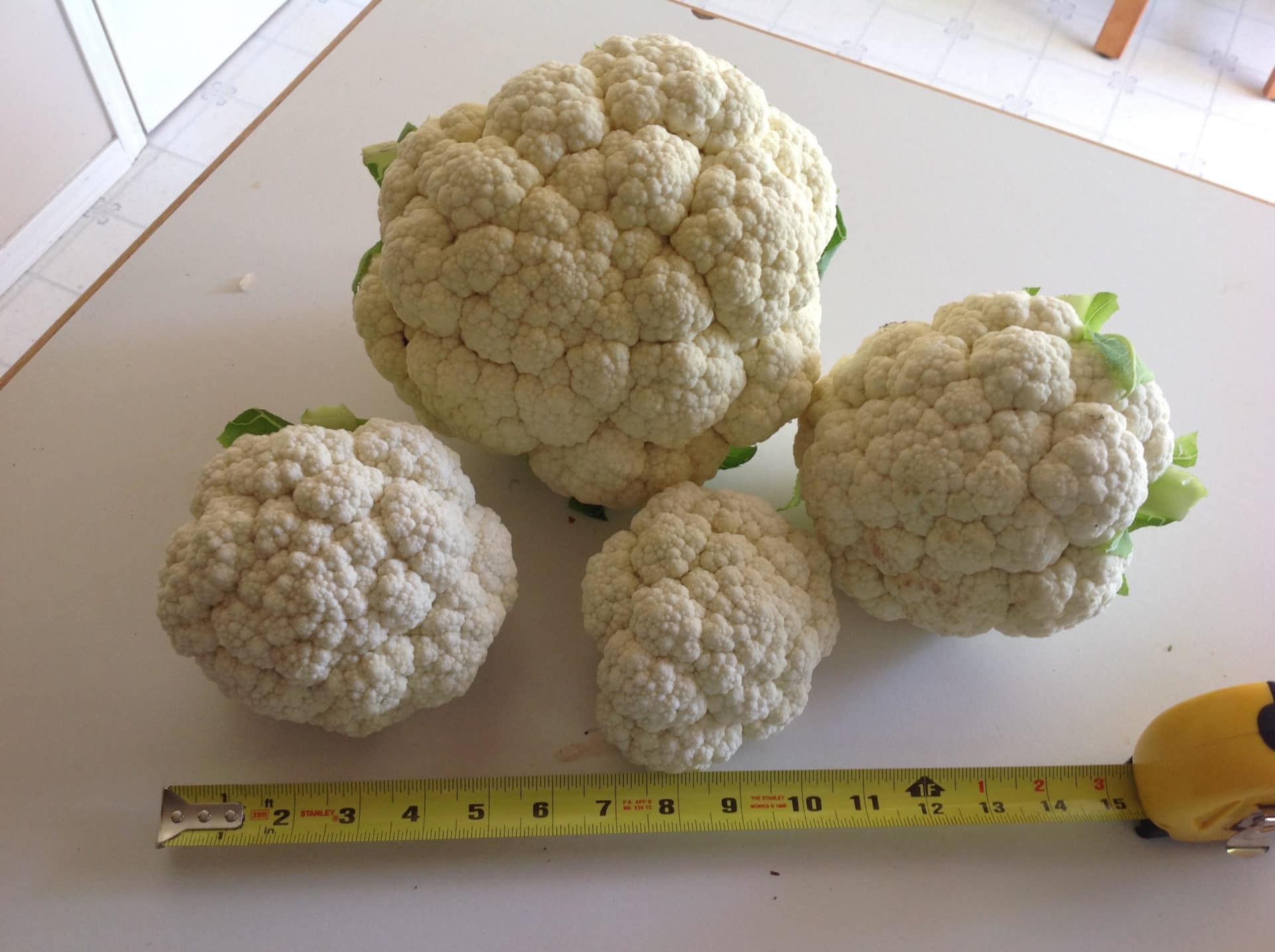 various-sizes